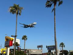 -In-N-Out Burger(LAX)