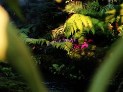 -Chom Cafe and Restaurant