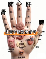 -克丽缇娜