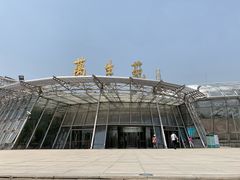 -北京植物园-展览温室