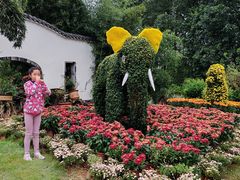 -都江堰玫瑰花溪谷