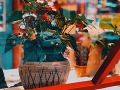 -蛙一刀·麻椒鱼火锅(金仙桥店)