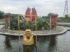 -白洋淀景区
