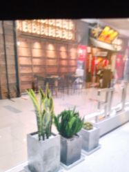 -INSTYLE造型·明星店