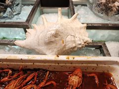 -白天鹅宾馆·流浮阁咖啡厅