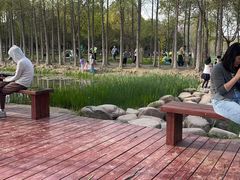 -上海浦江郊野公园-5号停车场