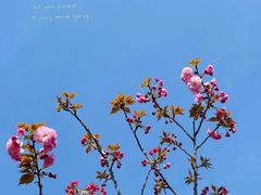 -韩湘水博园