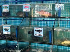 -锦里海景海鲜餐厅.三亚老字号(亚龙湾中心广场店)