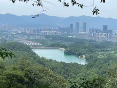 -大奇山国家森林公园