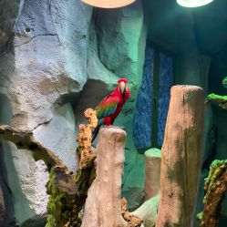 -Zoolung Zoolung动物主题公园(海信广场店)