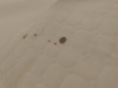 -鼎点时光酒店公寓(深圳大运中心体育馆店)