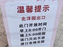 -桃花堤公园