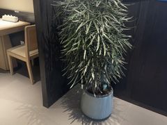 -鑫花溪牛肉米粉(凤凰街创始总店)