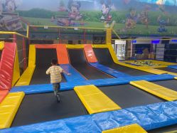 -爱丽丝奇幻乐园