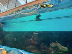 -望儿山温泉水乐园