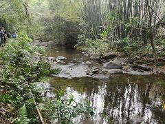 -象头山国家级自然保护区