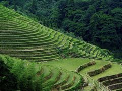 -龙脊梯田