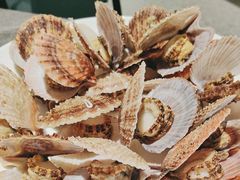 -1937青岛老味道·海肠捞饭·青岛菜(大鲍岛栈桥店)