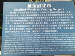 -延庆地质公园博物馆