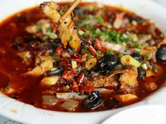 -龙翔山庄雷鸡肉(青城后山泰安古镇店)