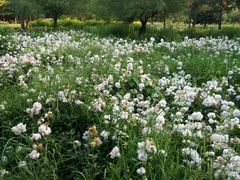 -长春公园(普阳街道)