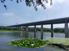 -门城湖公园