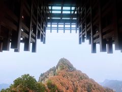 -少华山国家森林公园