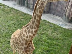 -南京汤山紫清湖生态旅游温泉度假区