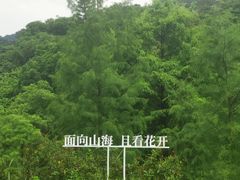 -云溪植物园