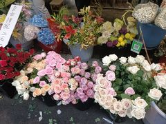 -循礼门鲜花花市(武汉循礼门店)