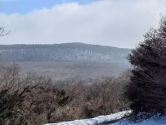 -济州五日民俗市场