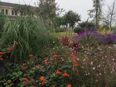 -府河摄影公园