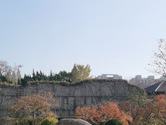 -嘉定紫藤园