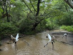 -大青沟风景区