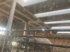 -武汉动物园