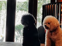 -Big Bamboo 大竹子体育主题餐厅(虹梅路店)