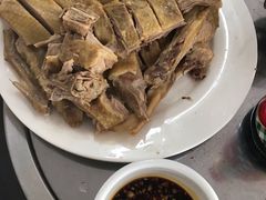 -东郊椰林