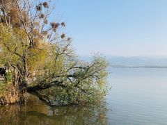 -西昌邛海湿地