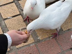 -泉城广场