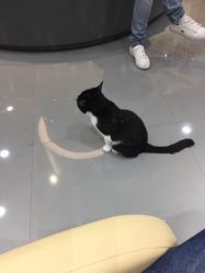 -和良形象