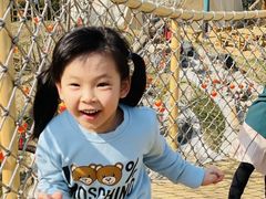 -金宝幼儿园(通州校区)