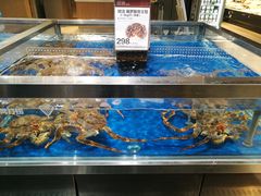 -盒马X会员店(王府井奥莱UP TOWN店)