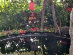 -东方华地城湿地温泉度假区