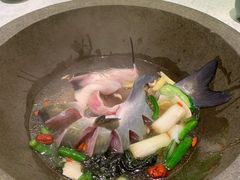 -鲜潭蒸汽石锅鱼(五道口购物中心店)