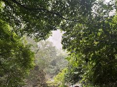-古龙山大峡谷