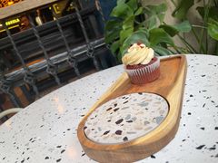 -caked(深圳购物公园店)