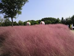-同里国家湿地公园