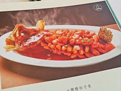 -西湖春天•老字号杭州菜(百汇店)