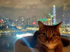 -珠江夜游广州塔·中大码头