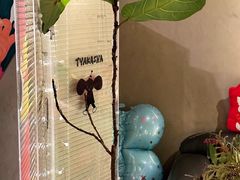 -福嗝er 咖啡&精酿餐吧(东四店)